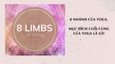 8 nhánh của Yoga. Mục đích của Yoga